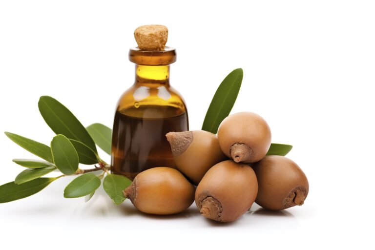 argan seeds isolated on a white banner background. argan oil nuts with plant. cosmetics and natural oils background, generate ai