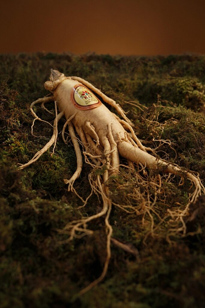 ginseng 1848303 1280