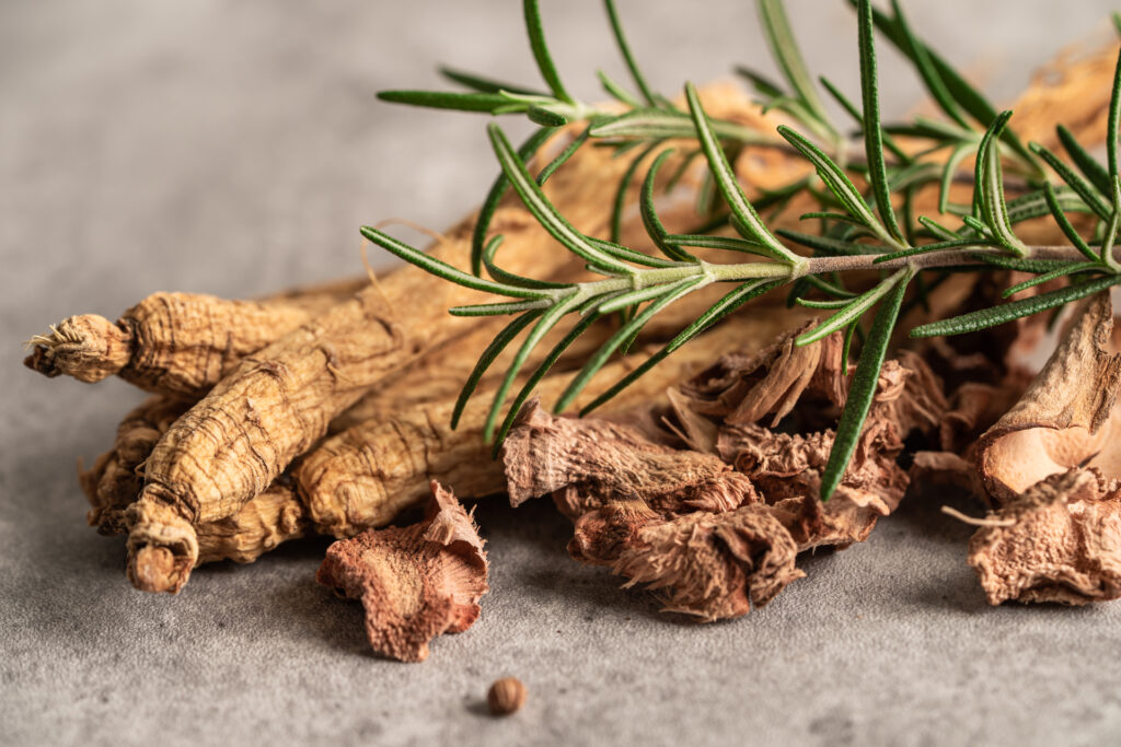 ginseng, dried vegetable herb. healthy food famous export food i ginseng, dried vegetable herb. healthy food famous export food i